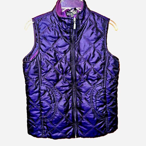 Jane Ashley Iridescent Purple Quilted Zip Vest PM Petite Gorpcore Wintercore - Picture 1 of 6